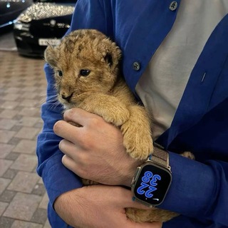 Telegram profile photo for Асилбек