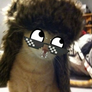 Telegram profile photo for мартышко.,