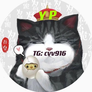 Telegram profile photo for 王牌 全球 CVV