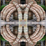 Telegram profile photo for شهرسازی، هنر و معماری