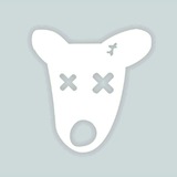 Telegram profile photo for Wassup Wassup