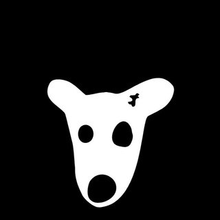 Telegram profile photo for ایر دراپ های معتبر💎داگز
