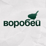 Telegram profile photo for Воробей
