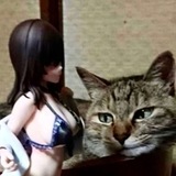 Telegram profile photo for гниющая падла