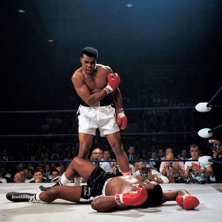 Telegram profile photo for Langroud boxing