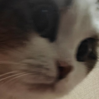 Telegram profile photo for RenamQ Переходник