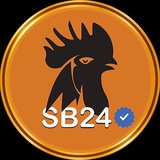 Telegram profile photo for SB24 & V168