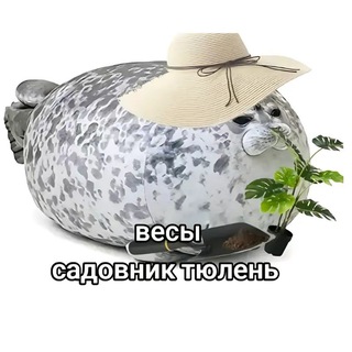Telegram profile photo for DiggiMa
