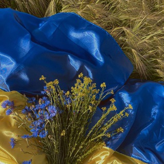 Telegram profile photo for Українці в Європі Закони Інформація ℹ️