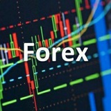 Telegram profile photo for Trading ~ FX