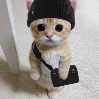 Telegram profile photo for стикеры для тг премиума | эмодзи для тг премиума | премиум эмодзи