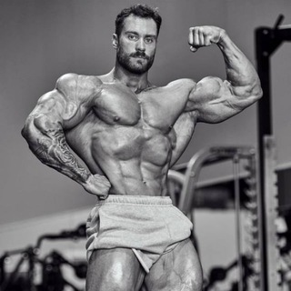 Telegram group profile photo for timon_fit чат 💬