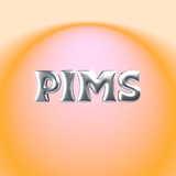 Telegram profile photo for PIMS Сибирь
