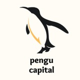 Telegram profile photo for پنگوکاپیتال