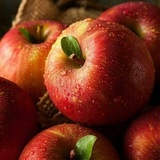 Telegram profile photo for زندگی سالم