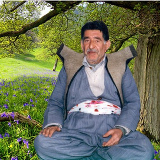 Telegram profile photo for میرزای جوانڕۆیی ،میرزا لطف الله سعیدی( سارۆخانی)