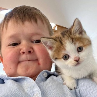 Telegram profile photo for $BARSIK | PORTAL
