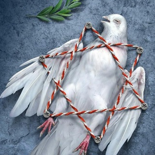 Telegram profile photo for Iranian martyrs of June 13 attacks