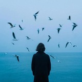 Telegram profile photo for ocean
