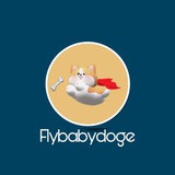 Telegram profile photo for FlyBabyDOGE