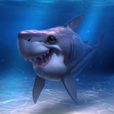 Telegram profile photo for share4shares
