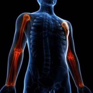 Telegram profile photo for Superior Extremity Anatomy