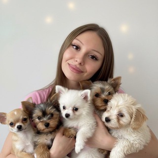 Telegram profile photo for Ваша Зооняня