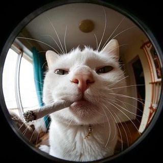 Telegram profile photo for از احوالات یک نقاش