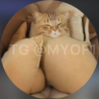 Telegram profile photo for MALAYAAX SOPHIE RAIN SOPHIERAIIN