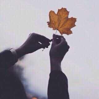 Telegram profile photo for نقاء 🍂.
