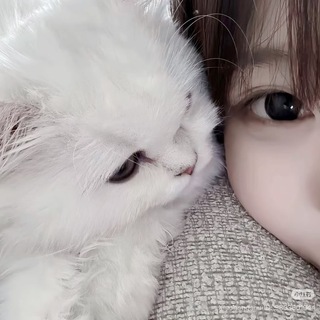 Telegram profile photo for 高雄台南三民左營中西區妹妹名單