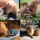 Telegram profile photo for Бездепозитные бонусы онлайн-казино с моментальным выводом без пополнения