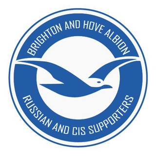 Telegram profile photo for Brighton Hove Albion News