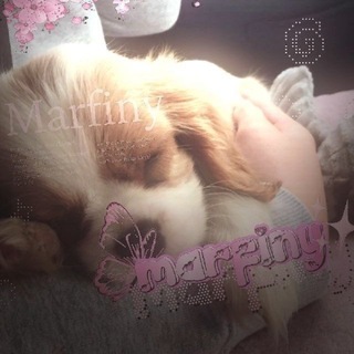 Telegram profile photo for ꒦ ꒷𝑚𝑎𝑟𝑓𝑖𝑛𝑦 †