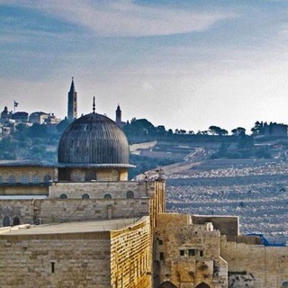 Telegram profile photo for Islamic History