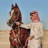 Telegram profile photo for ﮼سعّود .
