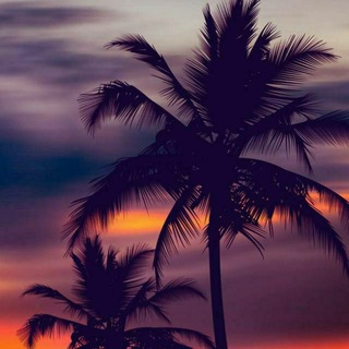 Telegram profile photo for ♕وَلَسَوْفَ يُعْطِيكَ رَبُّكَ فَتَرْضَىٰ♕