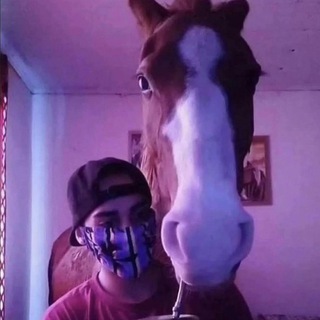 Telegram profile photo for The Sop Hole