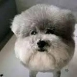 Telegram profile photo for МАХ