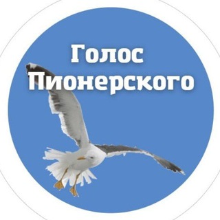Telegram group profile photo for Голос Пионерского