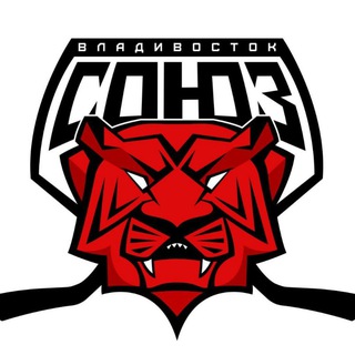 Telegram profile photo for Следж-ХК "СОЮЗ" г. Владивосток