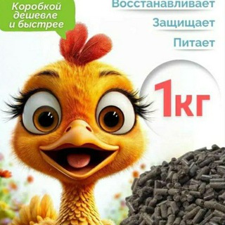 Telegram profile photo for Браво майор пейн