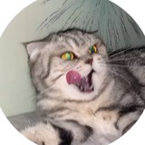 Telegram profile photo for болото