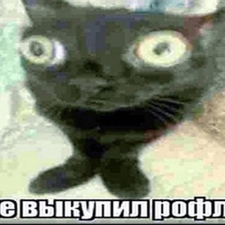 Telegram profile photo for ПОЛТЕРГЕЙСТ БЕНЯ ДЖОКЕР (НЕ БРАТЬ ТРУБКУ)