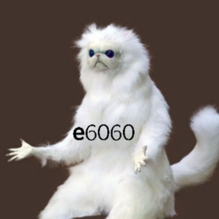 Telegram profile photo for Трасса е6060