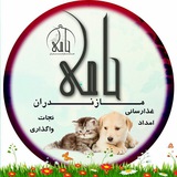 Telegram profile photo for "حامی" مازندران