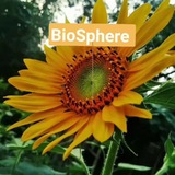 Telegram profile photo for NEET_BioSphere👌