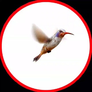 Telegram group profile photo for Чат №13