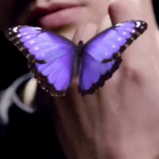 Telegram profile photo for پروانه ها 🦋