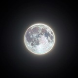 Telegram profile photo for ๐ฏ๐๐๐๐๐ | ๐ณ๐๐๐๐๐ ๐ต๐๐๐๐